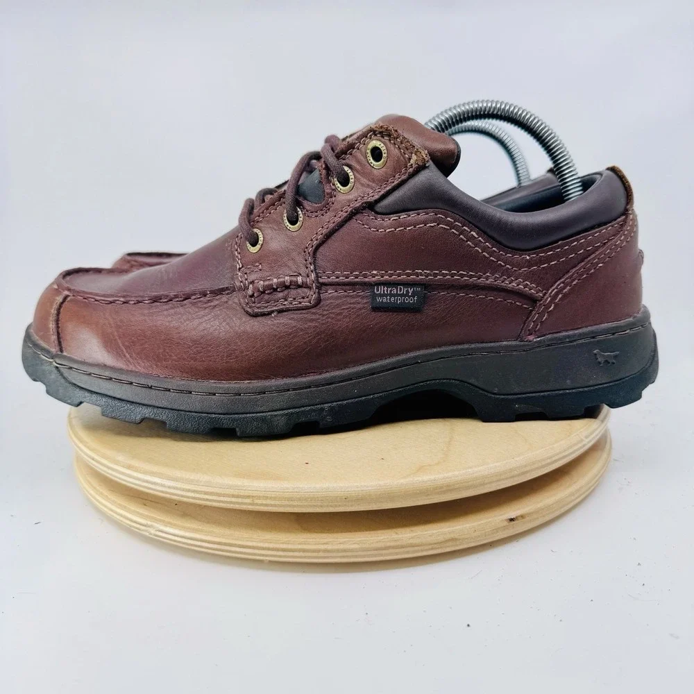 Irish Setter red wing